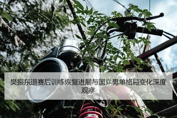 樊振东退赛后训练恢复进展与国乒男单格局变化深度观察